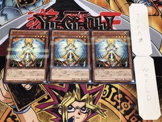 オネスト ノーマルパラレル 3枚セット てら