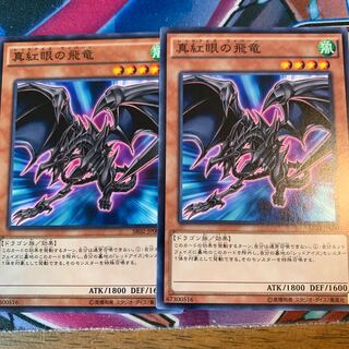 真紅眼の飛竜 N×2