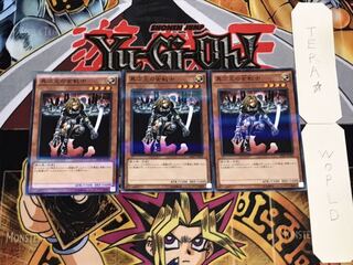 異次元の女戦士 ノーマルパラレル 3枚セット てら