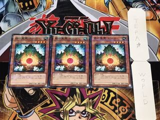 森の聖霊 エーコ ノーマルパラレル 3枚セット てら