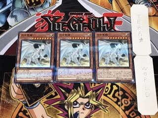 白き霊龍 ノーマルパラレル 3枚セット てら