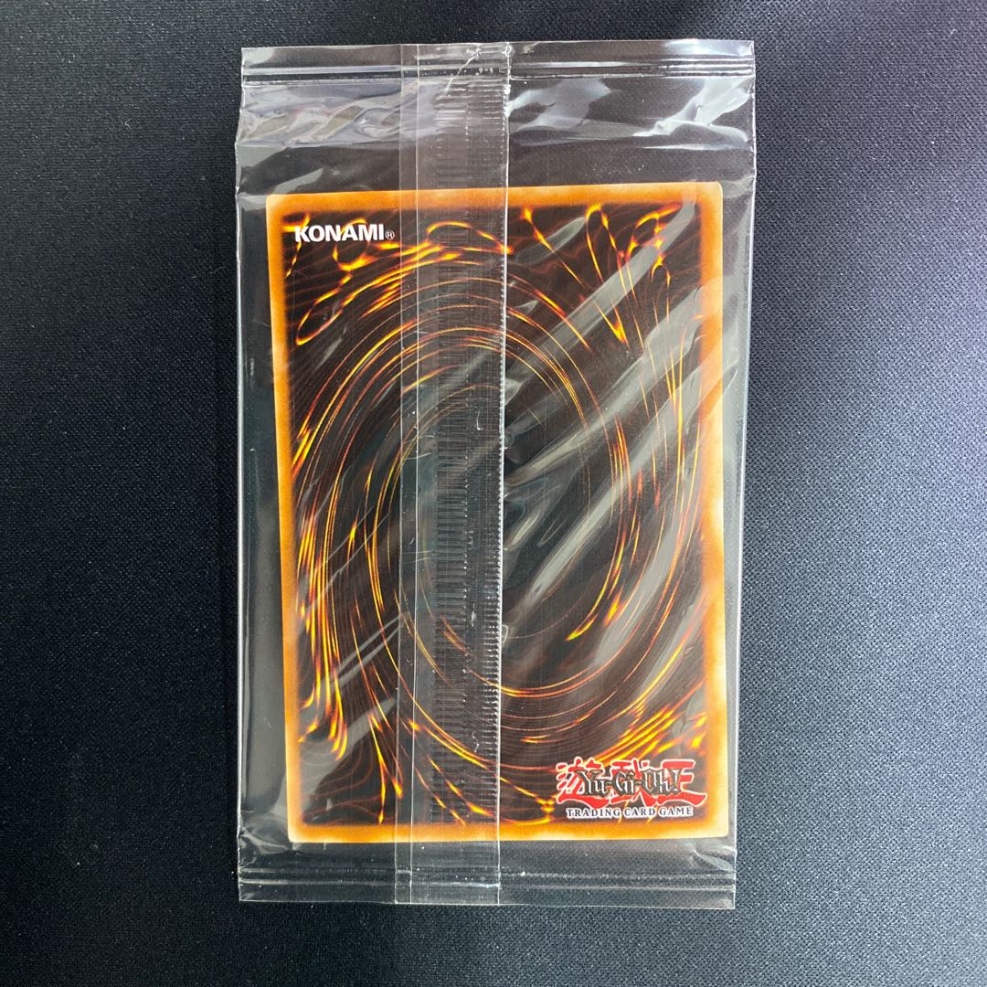 〖未開封品〗英語版 千年原人