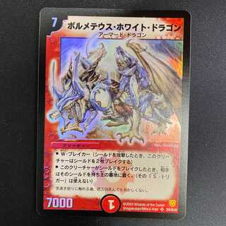 【希少品】ボルメテウスホワイトドラゴン　初期　管理B　