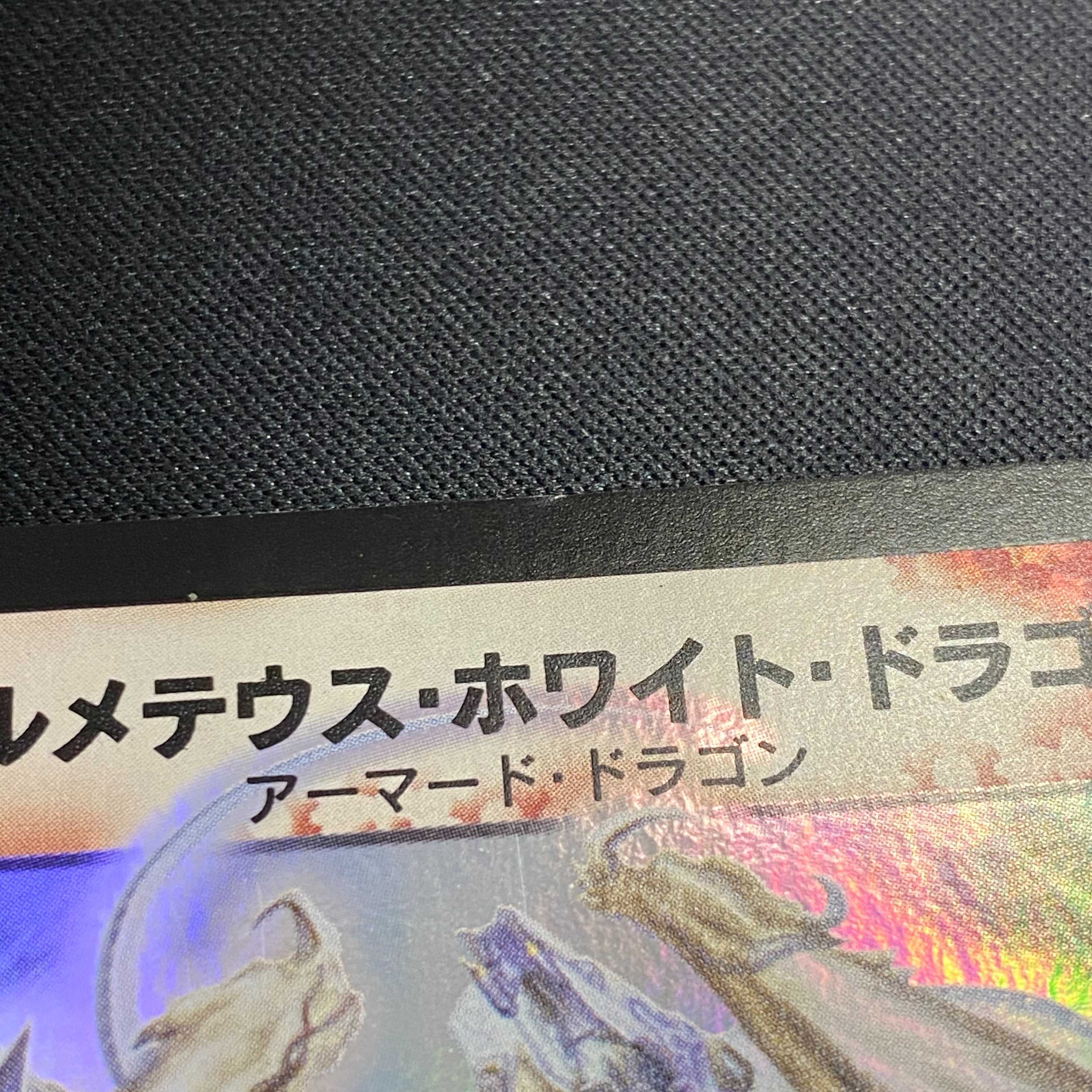 【希少品】ボルメテウスホワイトドラゴン 初期 管理B