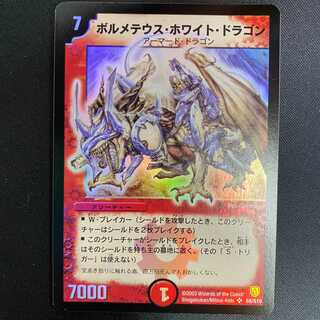 【希少品】ボルメテウスホワイトドラゴン　初期　管理E