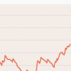 専用　ビルスとバーダックと時神