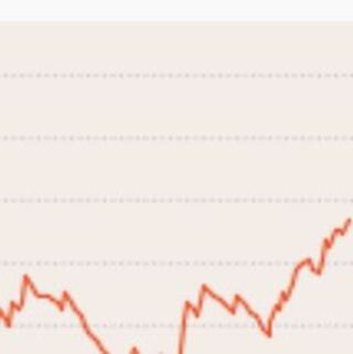 専用　ビルスとバーダックと時神