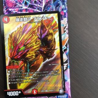 ブランキー 1枚