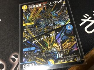 天命龍装 ホーリーエンド/ナウ・オア・ネバー　シク 1枚