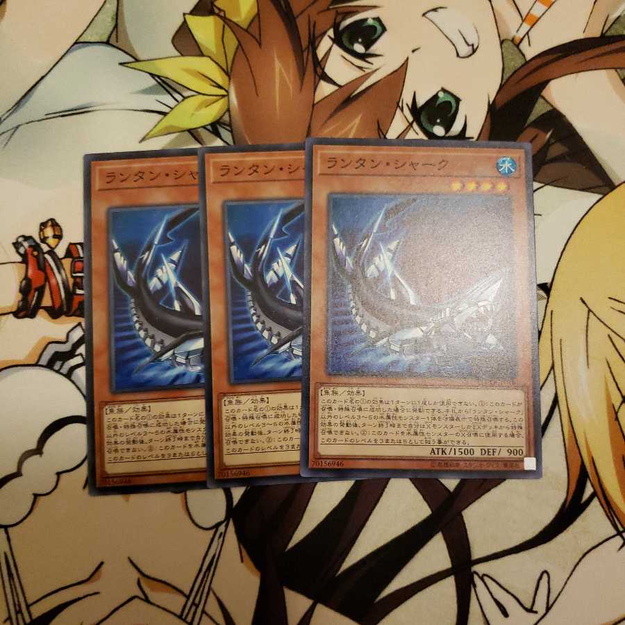 ランタン・シャーク