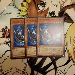 ランタン・シャーク