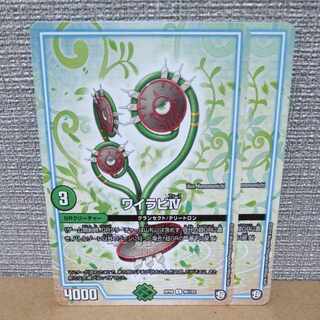 Wairabi IV C 96/102 [control symbol a].