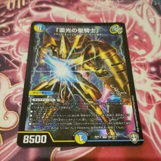 「雷光の聖騎士」