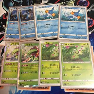 メガニウム ラグラージ