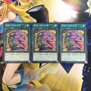 強欲で貪欲な壺 N 3枚