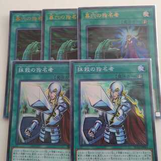 墓穴の指名者　抹殺の指名者