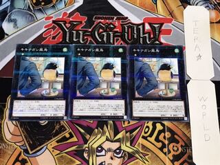 キキナガシ風鳥 ノーマルパラレル 3枚セット てら