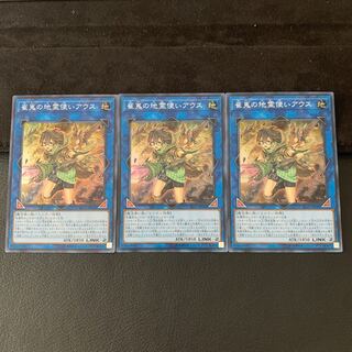 崔嵬の地霊使いアウス SR