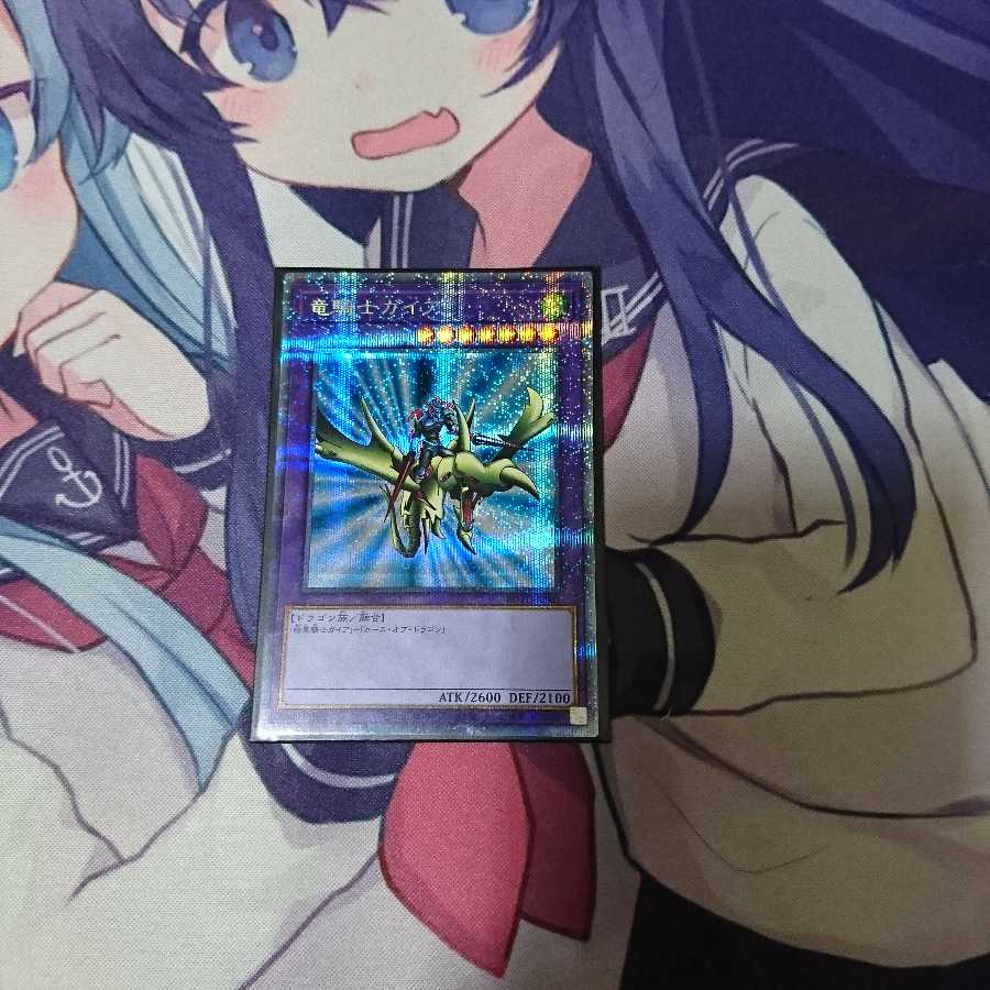 竜騎士ガイア PSE