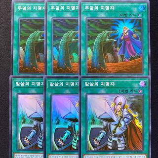 抹殺の指名者　墓穴の指名者　韓国版　スーパー　6枚セット