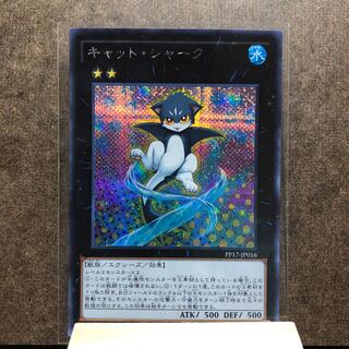 PP17 キャット・シャーク SE