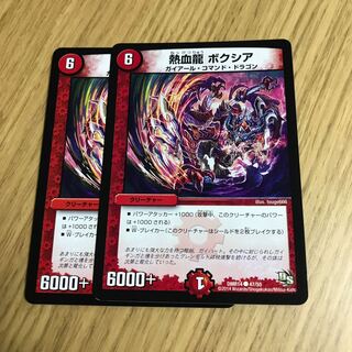 熱血龍 ボクシア