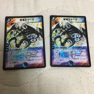 蛇魂王ナーガ 2枚