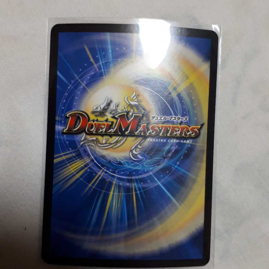 「絶対の楯騎士」