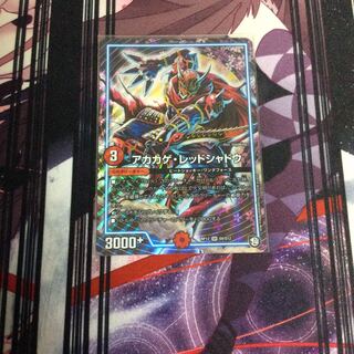 アカカゲ・レッドシャドウ 最安値