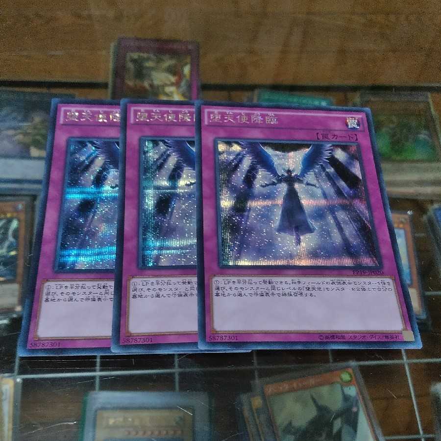 【3枚】堕天使降臨　シク