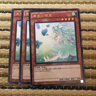 マドレース 裏風の精霊 R