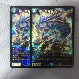 水上第九院 シャコガイル 2枚