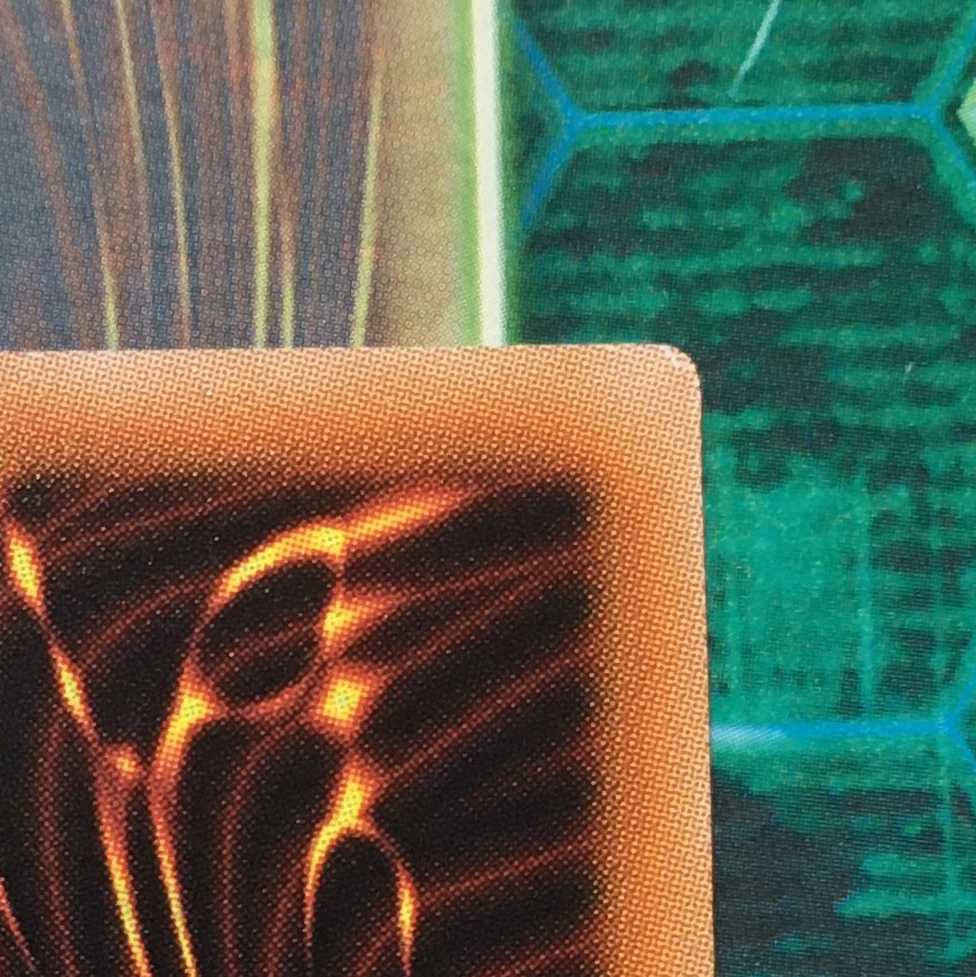 捕食植物トリフィオヴェルトゥム