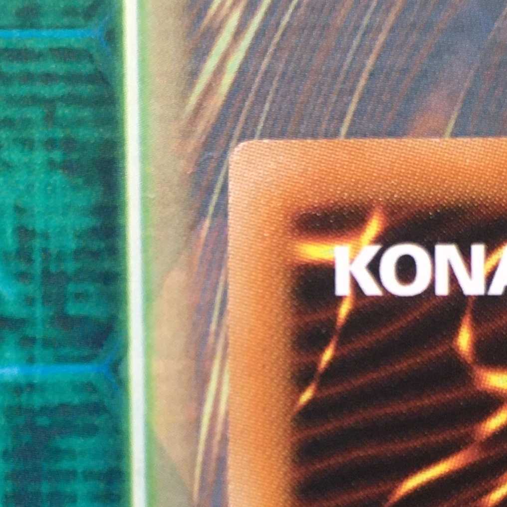 捕食植物トリフィオヴェルトゥム