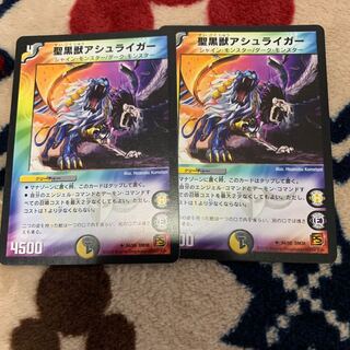 聖黒獣アシュライガー