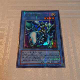 白竜の聖騎士[ねこぶた様 専用]