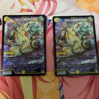 絶対の楯騎士　2枚