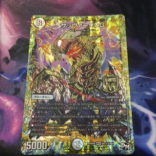 サッヴァークDG SE