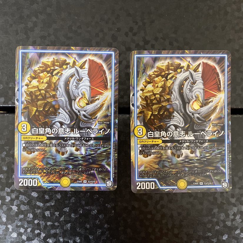 白皇角の意志 ルーベライノ