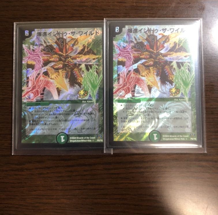 爆進イントゥ・ザ・ワイルド R-foil 2枚