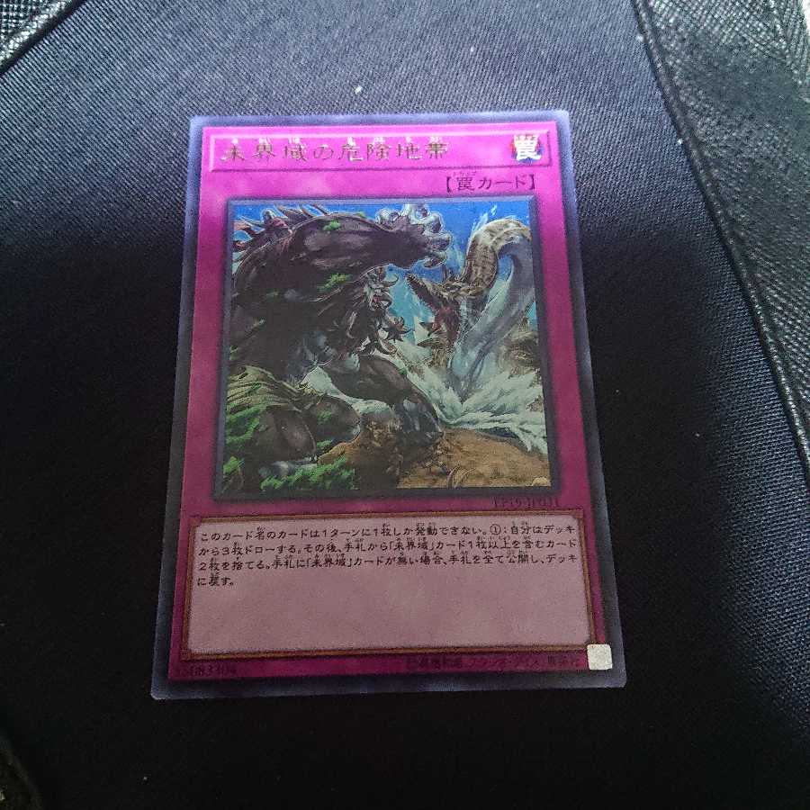 未界域の危険地帯 R