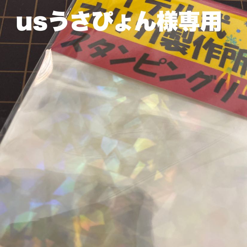 usウサピョン様専用