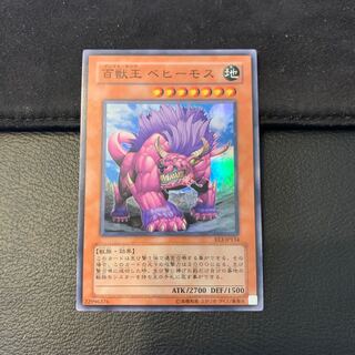 百獣王 ベヒーモス SR