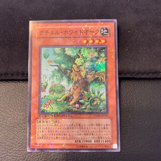 ナチュル・ホワイトオーク SR