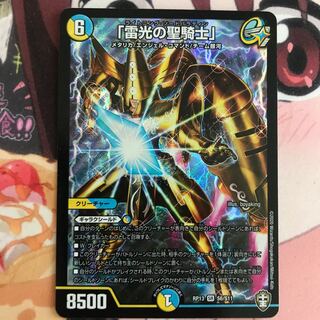 「雷光の聖騎士」