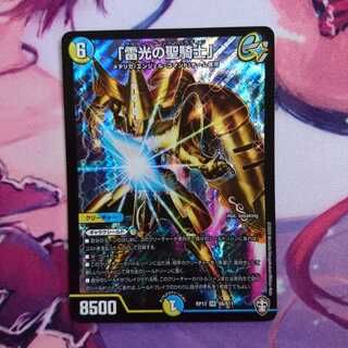 「雷光の聖騎士」