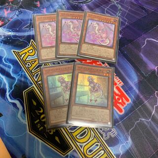 ドラゴンメイド・エルデ　ナサリー