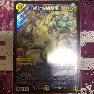 「絶対の楯騎士」