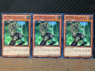 【ぽぽたん】遊戯王 2008 E・HERO フォレストマン 3枚 ノーマル