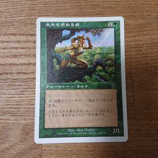 MTG Common Seeker of Skybreak 7th ed. Elf 1枚